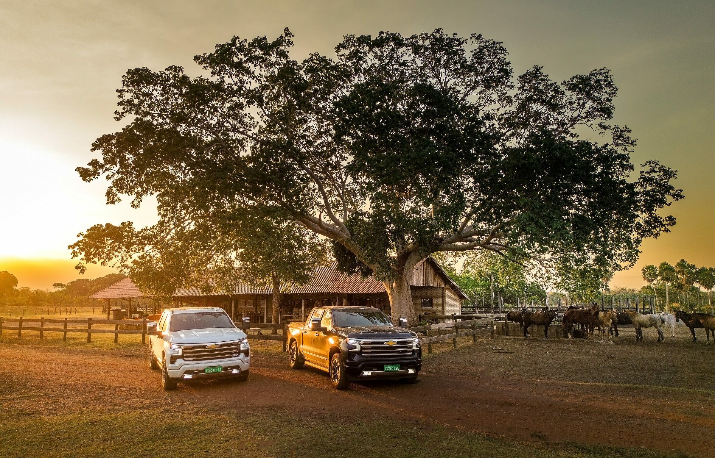 Foto de LUCIANO JUSTINIANO 1