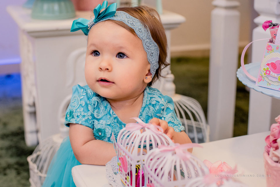 Aniversário Infantil - Maria Luiza 01 ano - Buffet Dois Amores - Campo Grande - MS