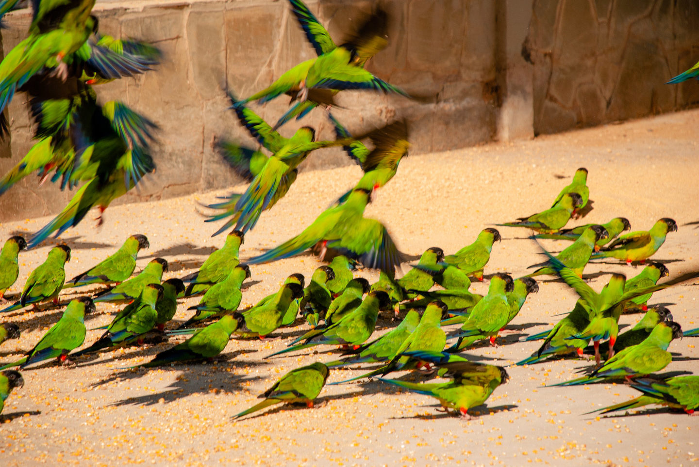 Fundação Bradesco 2010 - Escola de Bodoquena