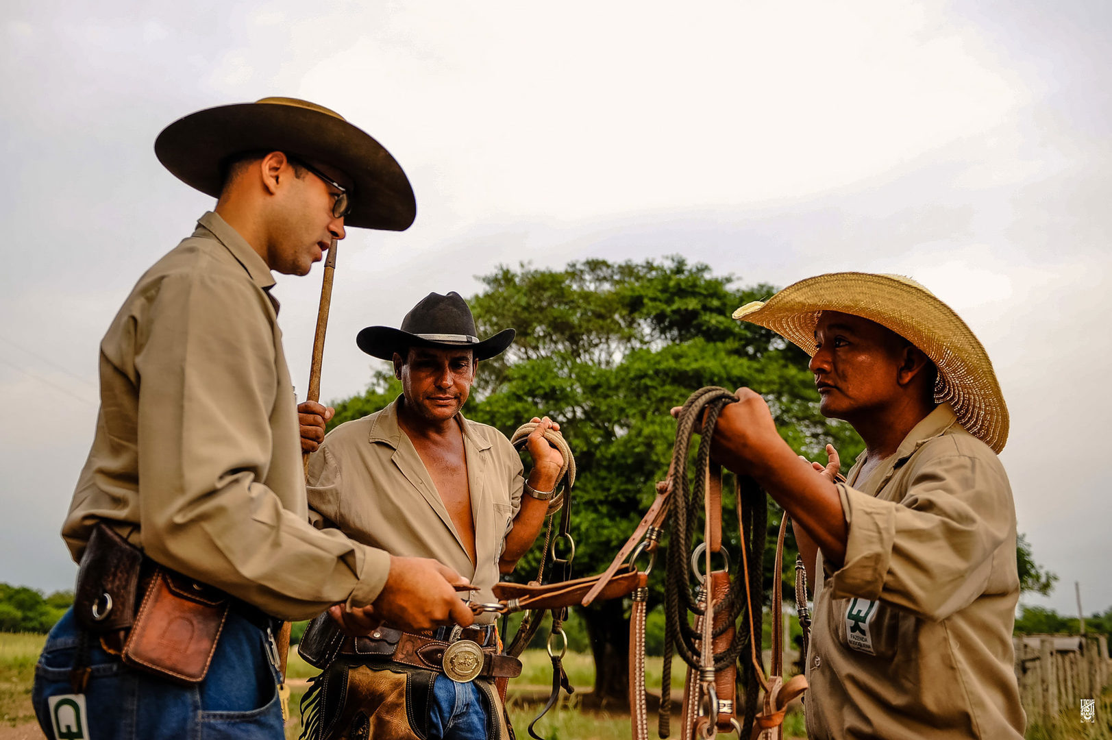 Peão boiadeiro tocando gado em fazenda do Pantanal Sul, Pulsar Imagens