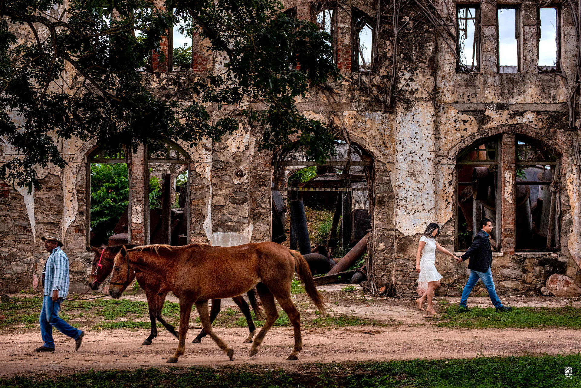 Foto Melhores lugares para ensaios fotográficos em Miranda MS Foto Melhores lugares para ensaios fotográficos em Miranda MS - Imagem 36