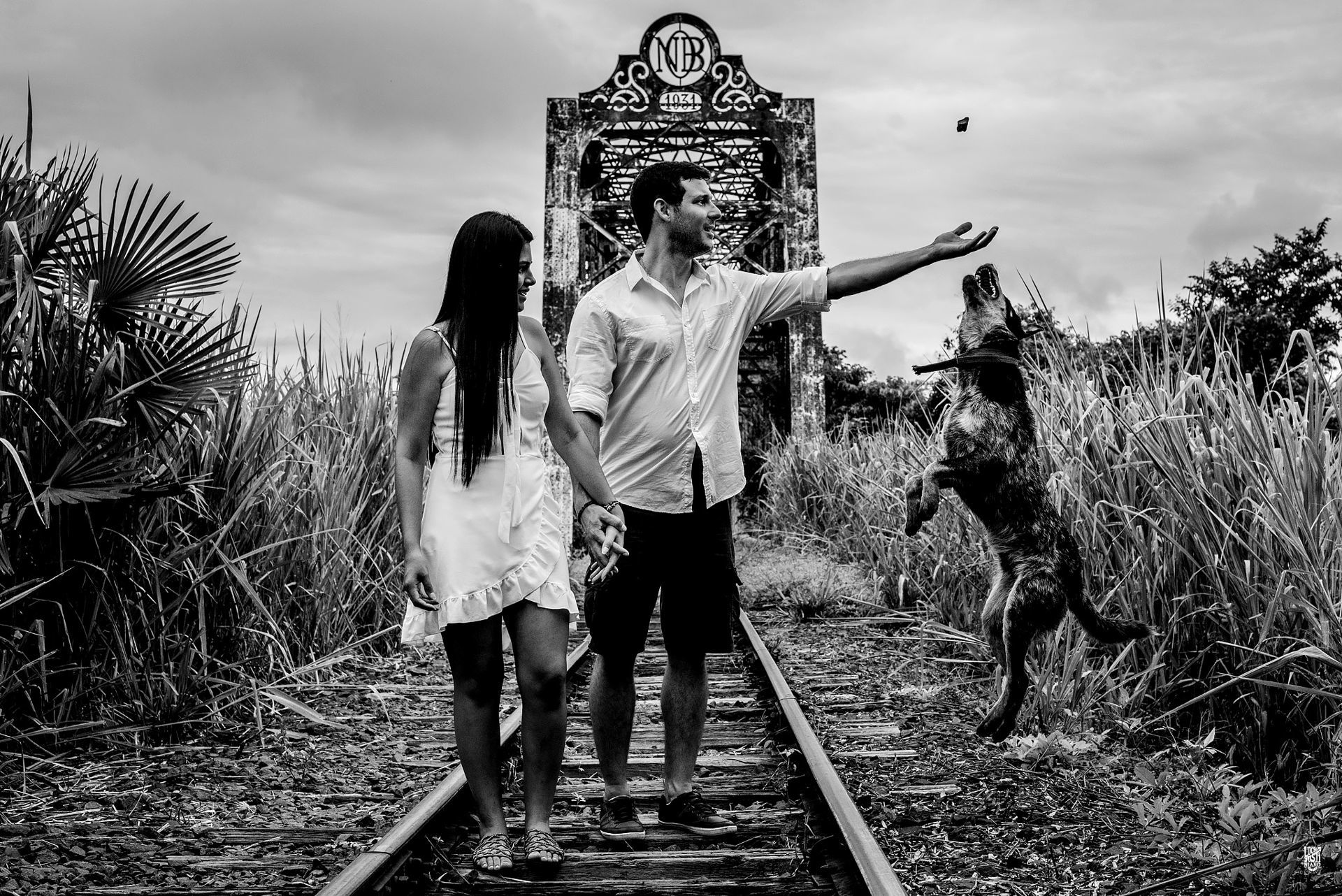 Foto Melhores lugares para ensaios fotográficos em Miranda MS Foto Melhores lugares para ensaios fotográficos em Miranda MS - Imagem 0